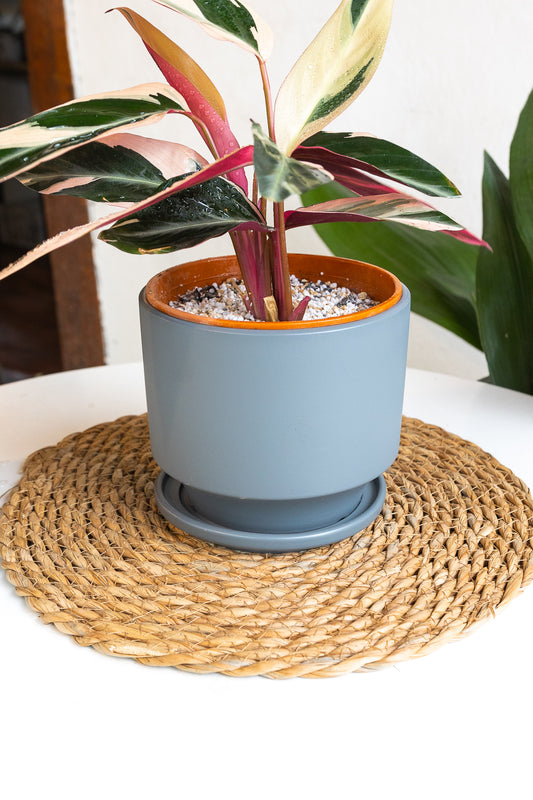 Macetero Minimal Satinado