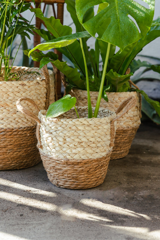 Canasto Mimbre Arena