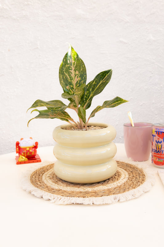 Macetero Cerámica Fupú