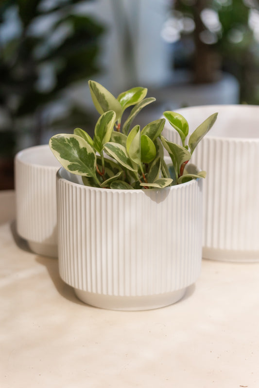 Macetero Industrial Blanco