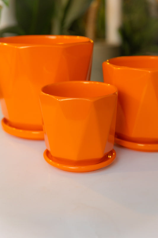 Macetero Naranjo Colors