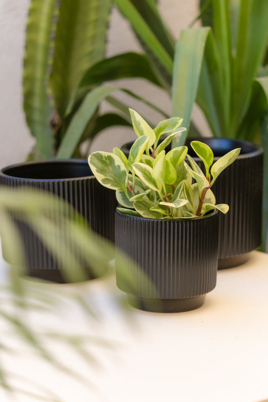 Macetero Industrial Negro