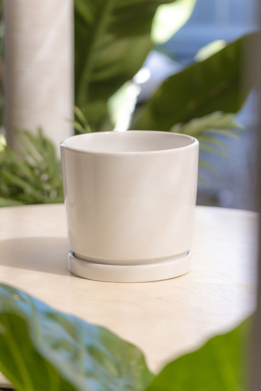 Macetero Cerámica Minimal White