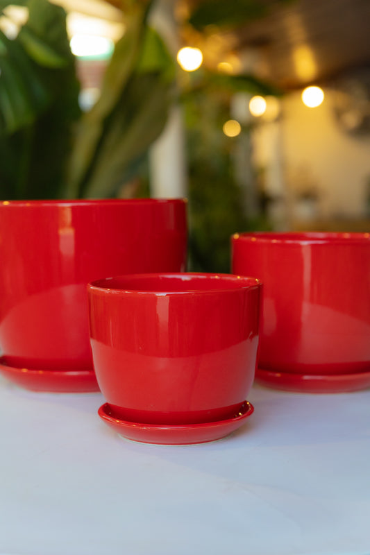 Macetero Rojo Colors