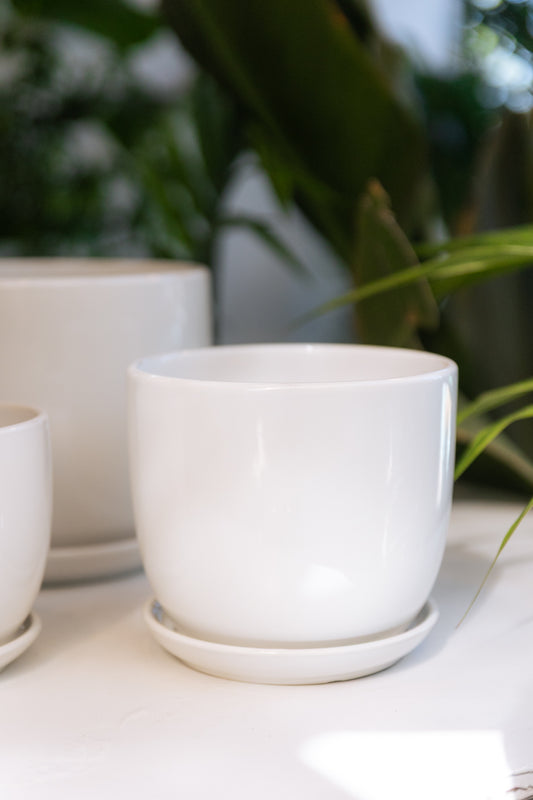 Macetero Cerámica Light Blanco