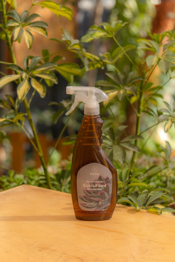 Fertilizante Suculentas SuccuFeed Whenua