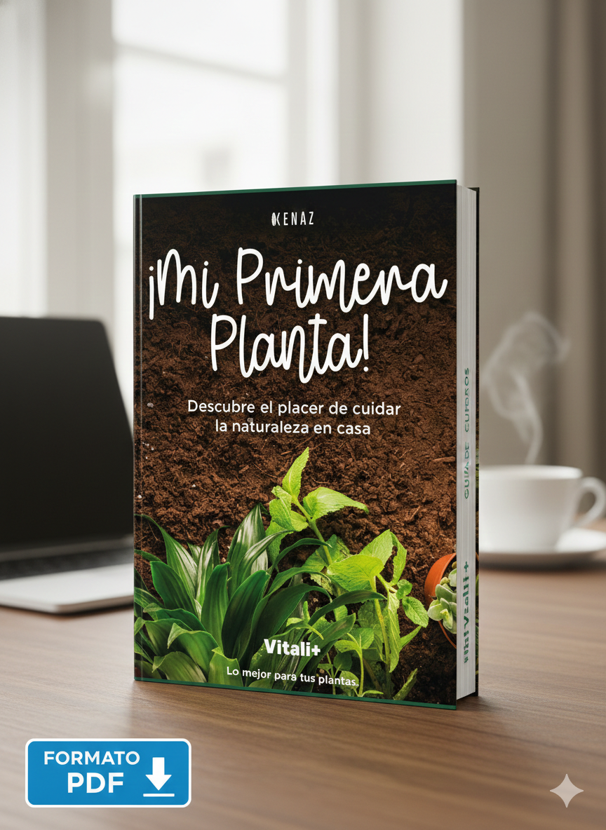 Guía de Cuidados Digital PDF | Manual plantas | Kenaz Chile