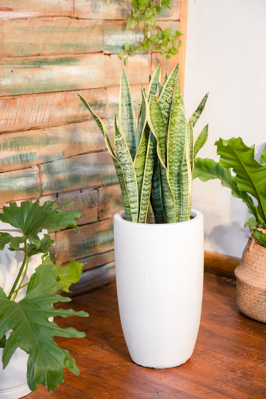 Macetero Bali Fibra Arcilla 24x41cm (NIC)