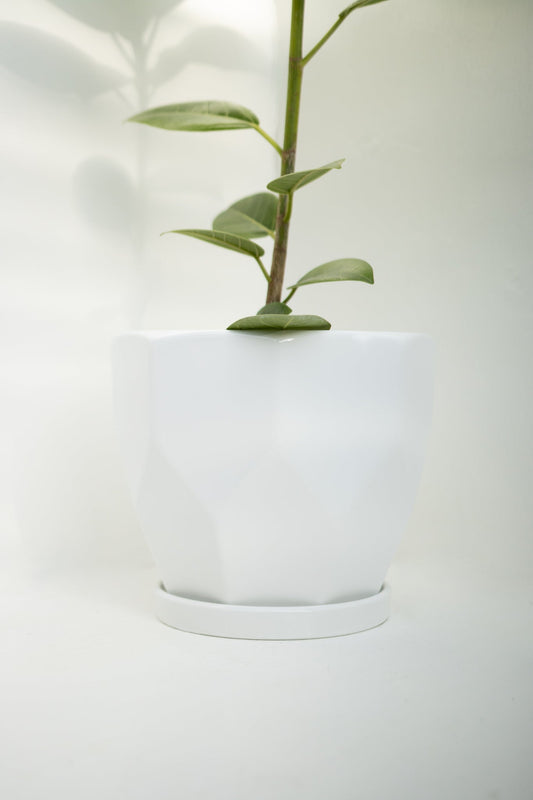 Macetero Cerámica Prisma Blanca