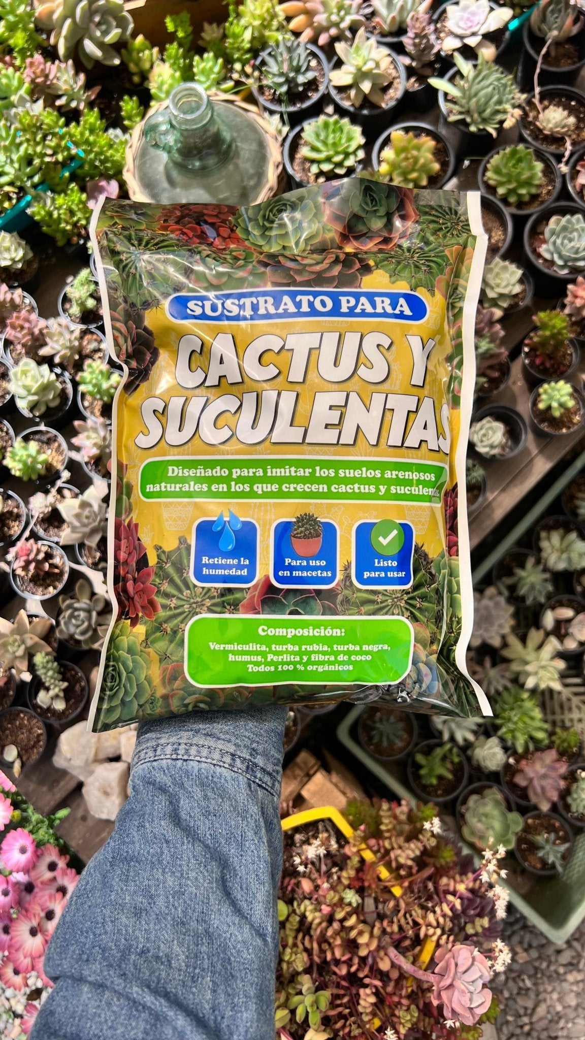 Sustrato Suculentas | Tierra para suculentas y cactus
