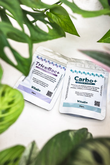 Sustratos y Accesorios