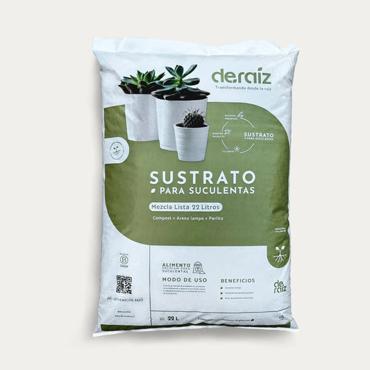 Sustrato para suculentas