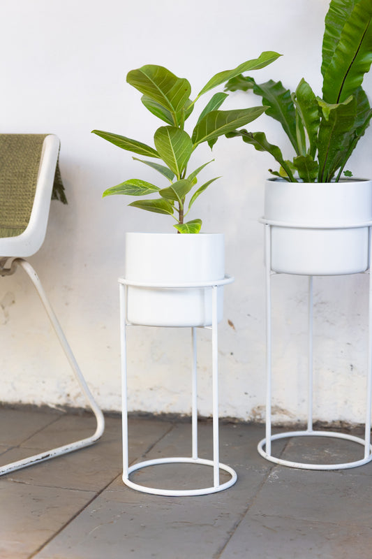 Pedestal Minimal