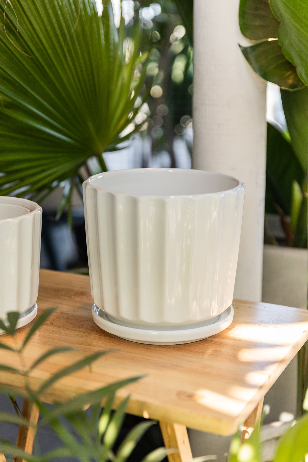 Macetero Clasico Blanco de ceramica - Kenäz