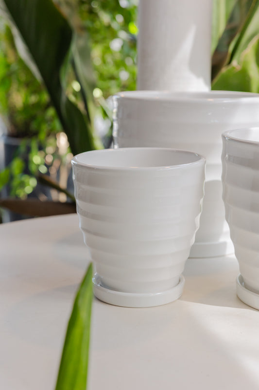 Macetero Cerámica Ondas Blanca