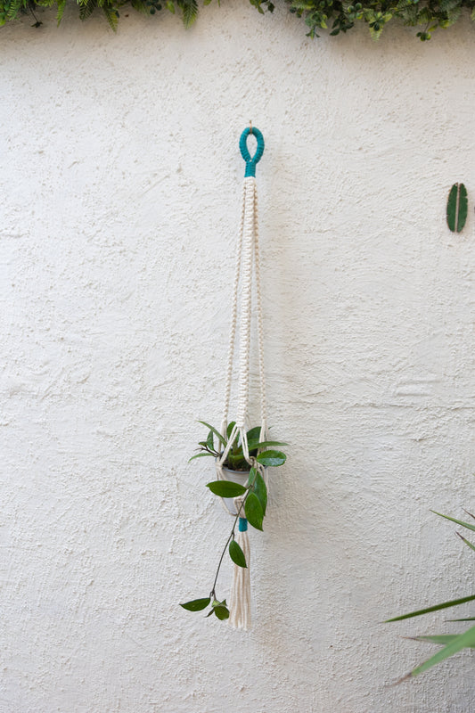 Colgante Macramé Planta Notro