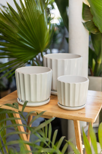 Macetero Clasico Blanco de ceramica - Kenäz