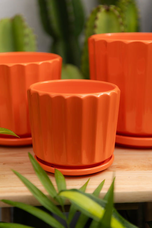 Macetero Naranja