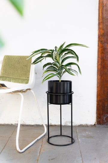 Pedestal Minimal