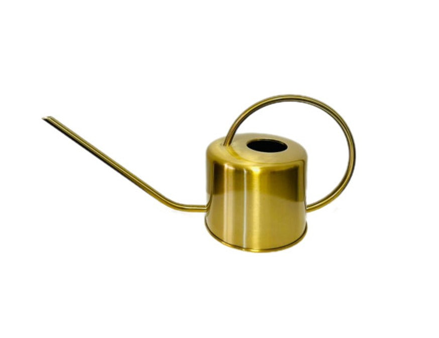 Regadera de Acero Inox