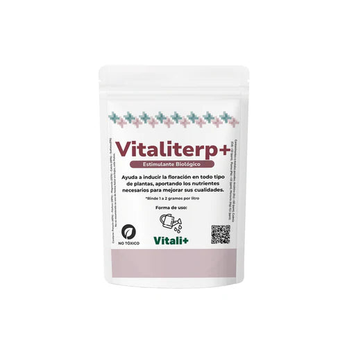 Vitaliterp
