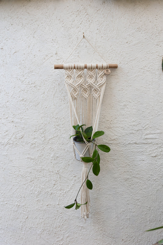 Colgante Macramé Planta Arrayan