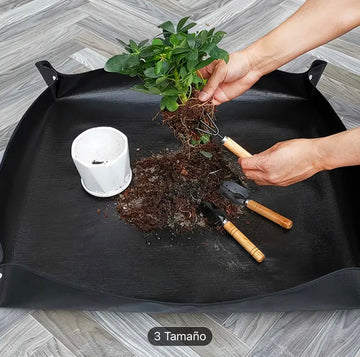 Alfombrilla para Trasplante