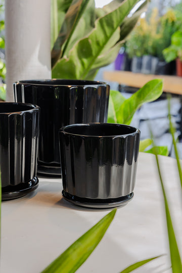 Macetero Retro Negro