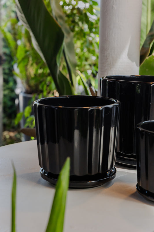 Macetero Retro Negro