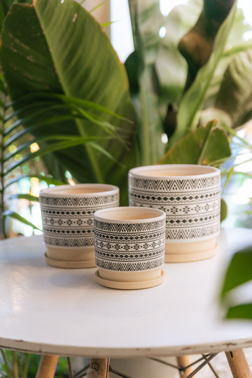 Macetero Ceramica Crudo Hanga Roa