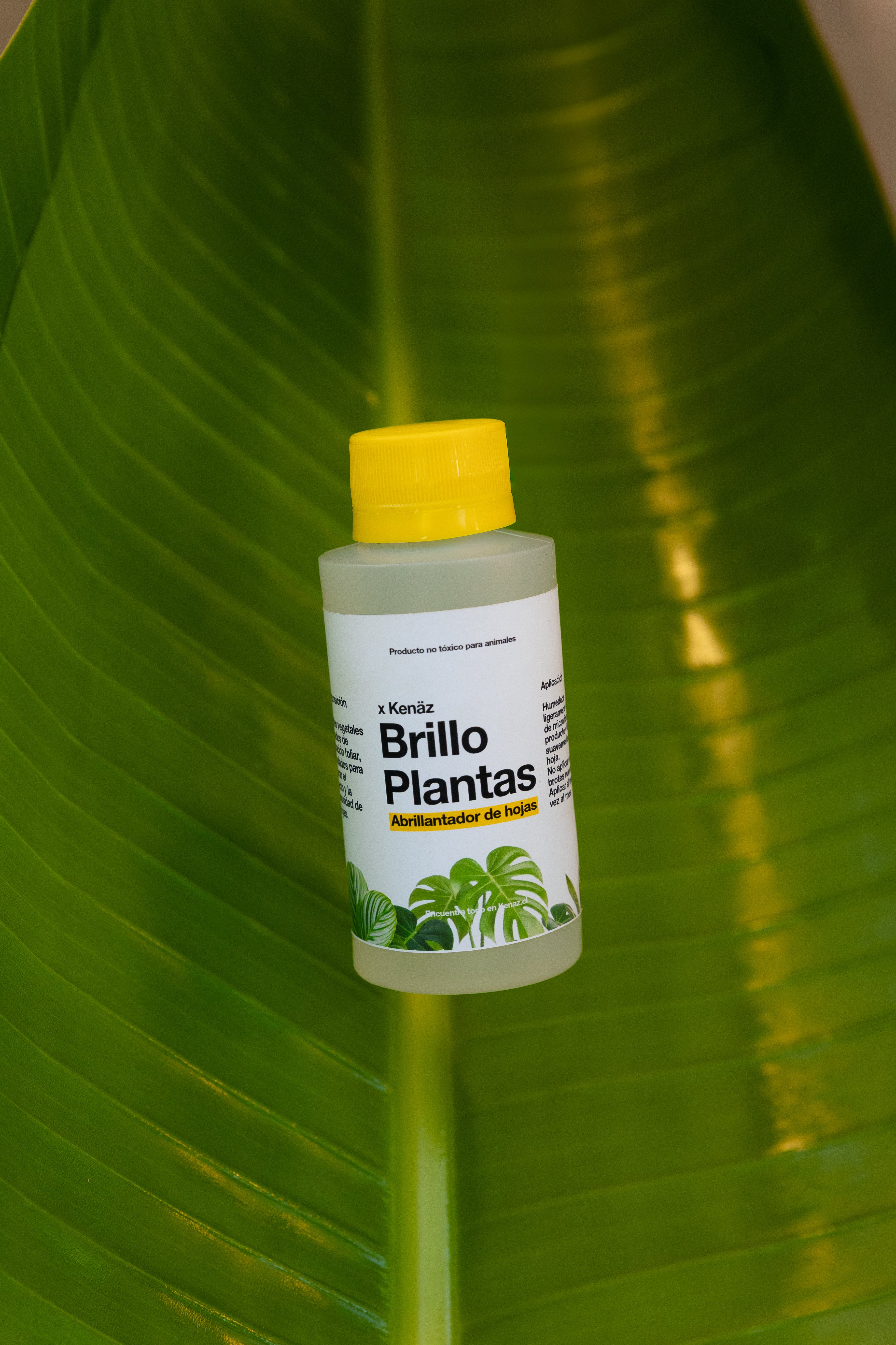 Abrillantador Brillo para Plantas Kenäz