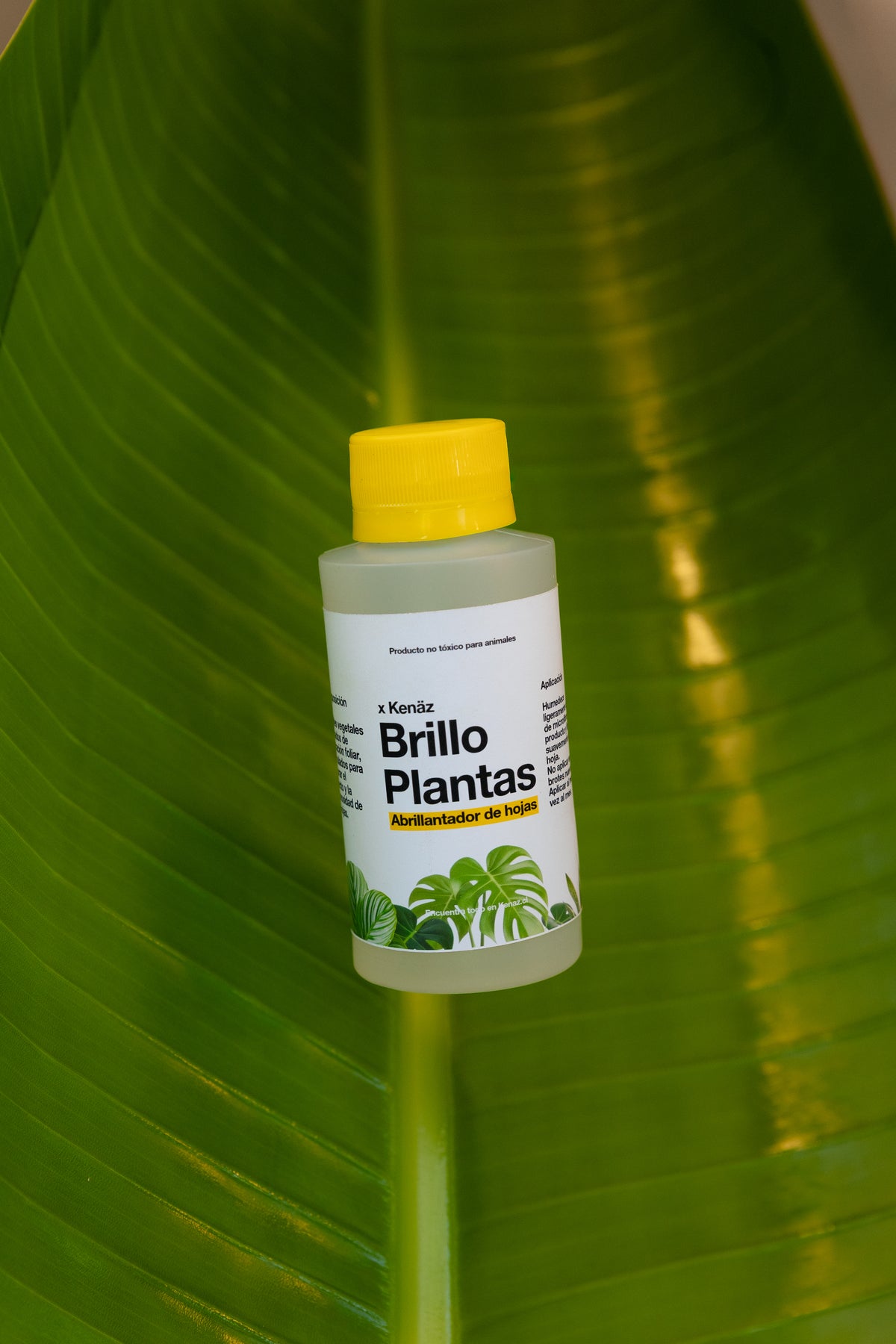 Abrillantador Brillo para Plantas Kenäz
