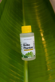 Abrillantador Brillo para Plantas Kenäz