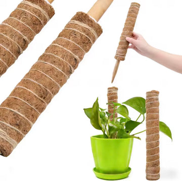 Soporte tutor para Plantas Trepadoras 50 cm – Fibra de Coco Natural