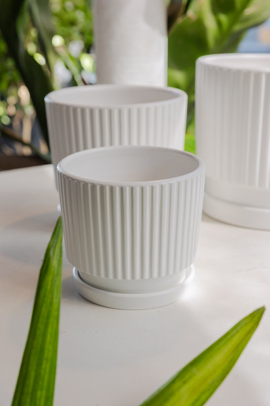Macetero Cerámica Light Blanco