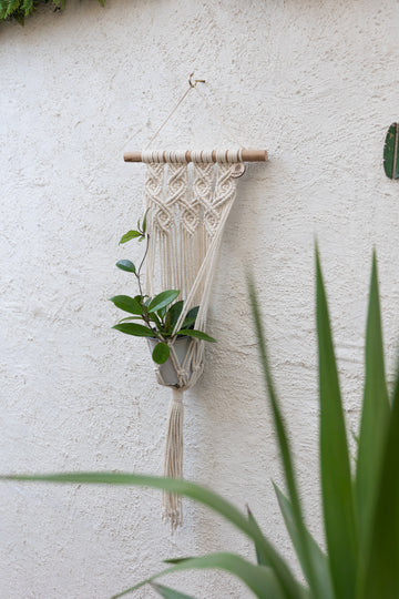 Colgante Macramé Planta Arrayan
