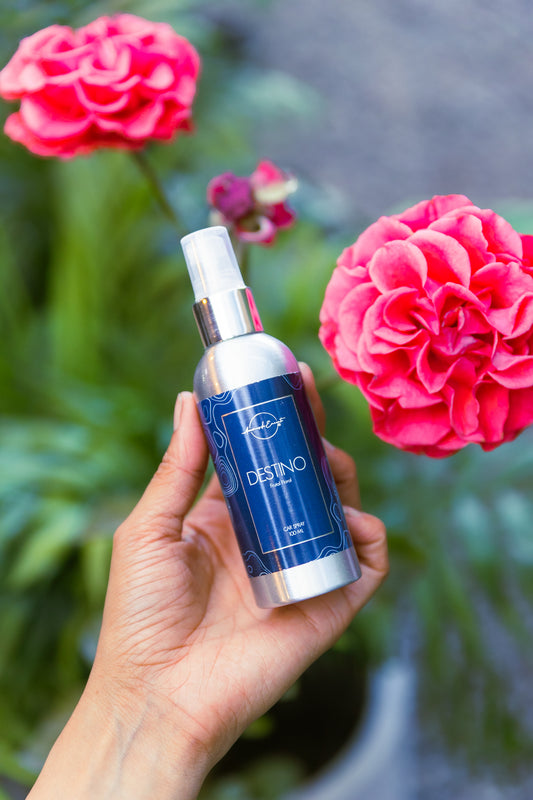 Aromatizante Auto (Car Spray 100ml)