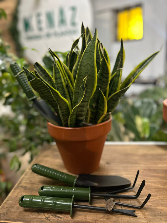Kit de Herramientas Kenäz