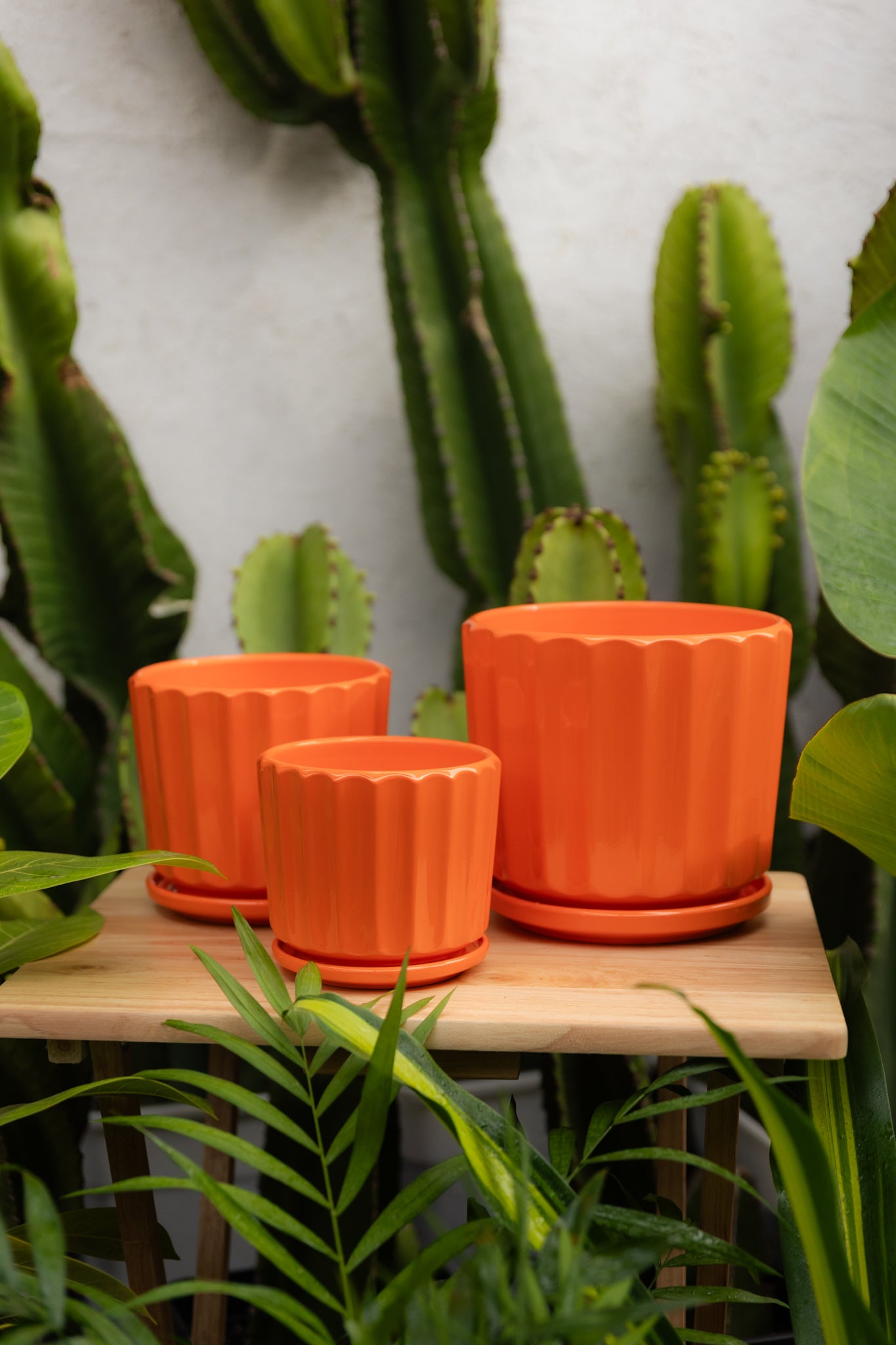 Macetero Naranja
