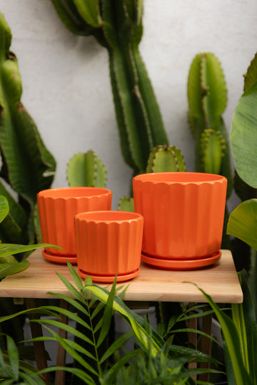 Macetero Naranja
