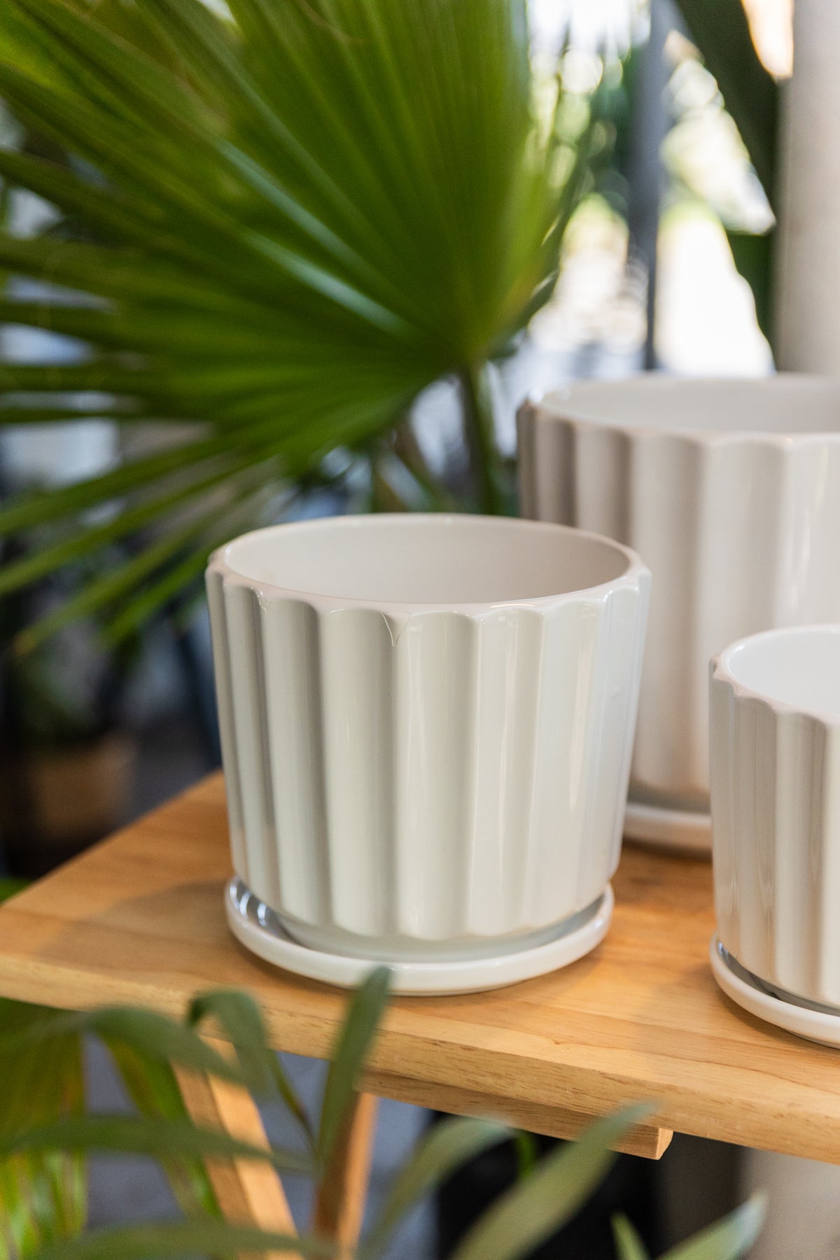 Macetero Clasico Blanco de ceramica - Kenäz
