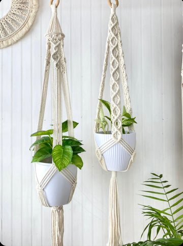 Colgante Macramé Planta Eucalipto