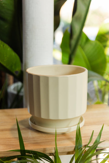 Macetero Beige Classic Único