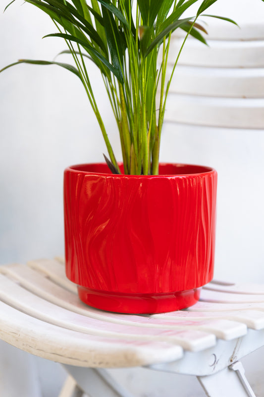 Macetero Selva Rojo