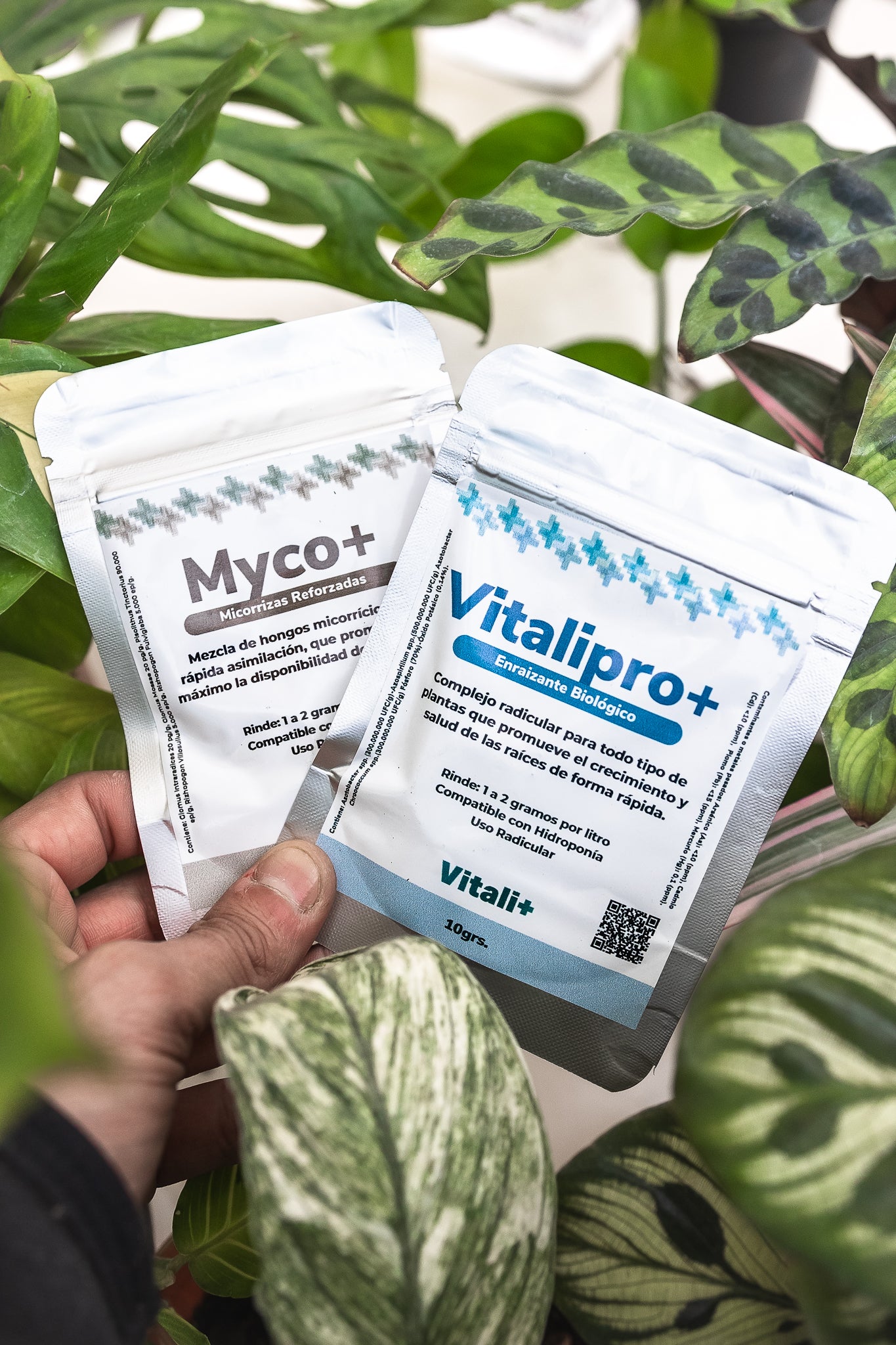 【OK plant】 DA03] Limpiador de Llantas – EOX