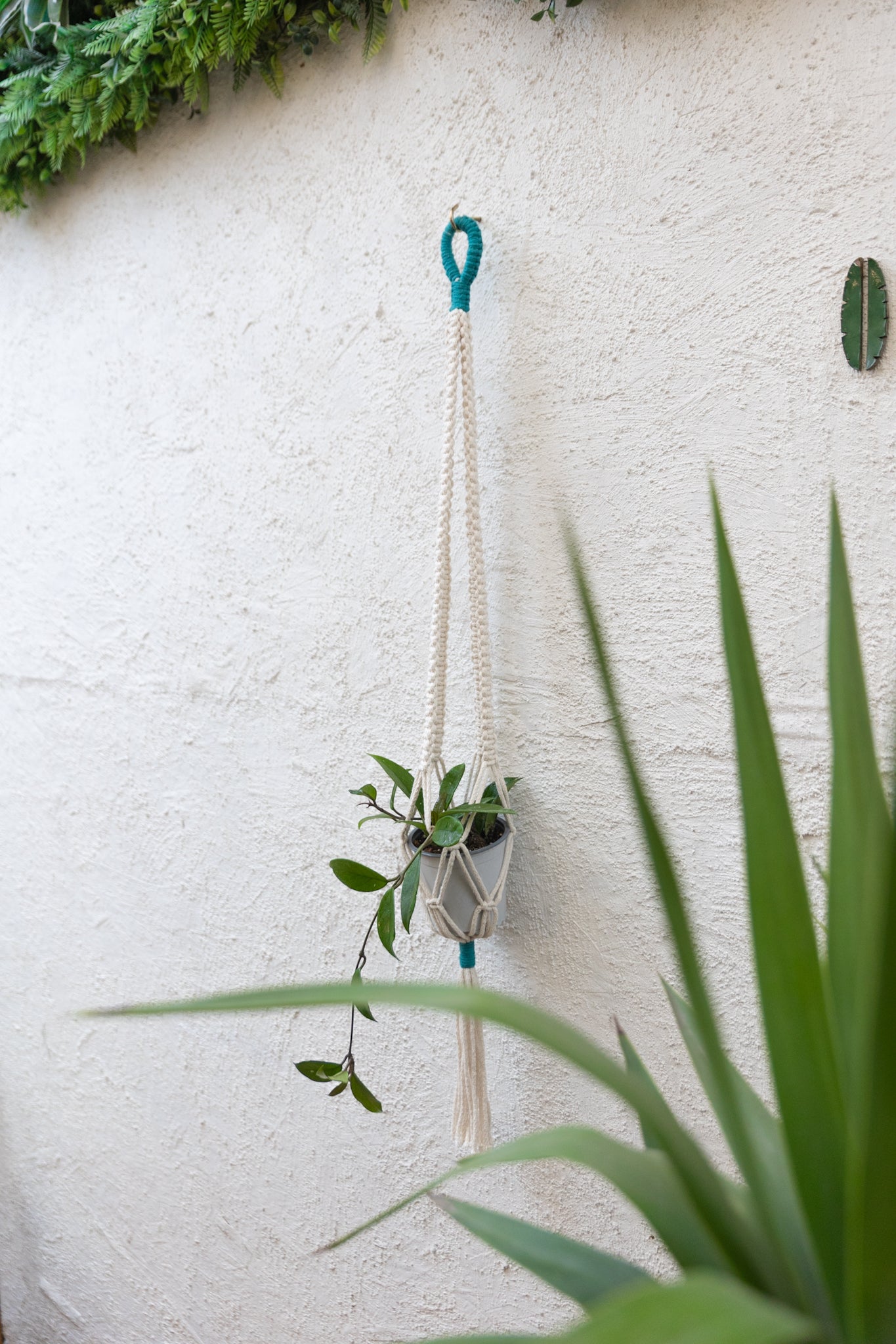 Colgante Macramé Planta Notro