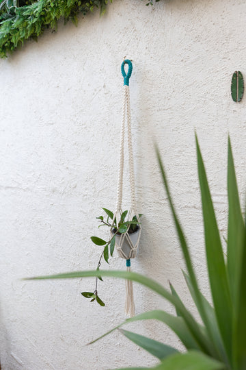 Colgante Macramé Planta Notro