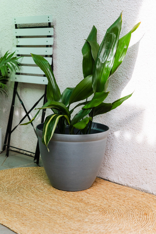 Macetero Galena XL