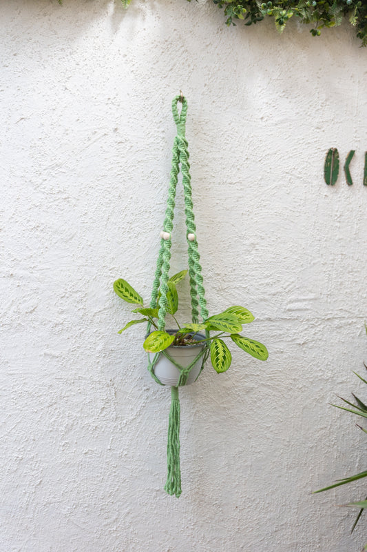 Colgante Macramé Planta Nogal