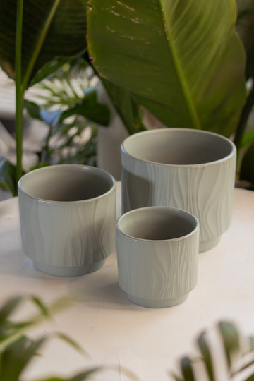Macetero Selva Gris